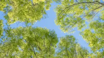 利拉德年薪TOP10结果意外的简单介绍
