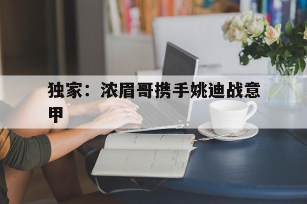 独家：浓眉哥携手姚迪战意甲的简单介绍